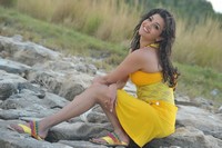 Kajal Stills in Businessman